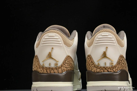 Retro Jordan  CT8532-102 CT8532-102 Palomino  3 0401